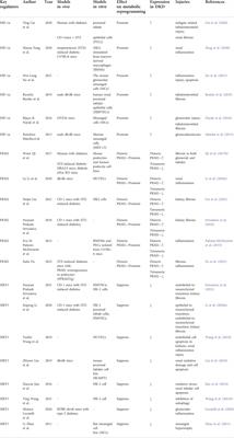 Metabolic reprogramming: A novel therapeutic target in diabetic kidney disease